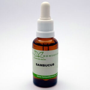 Homeopatia Sambucus 6CH 30ml Farmácia Homeofórmula