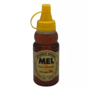 MEL FLORES SILVESTRES BISNAGA 280G – APIARIO BREDA