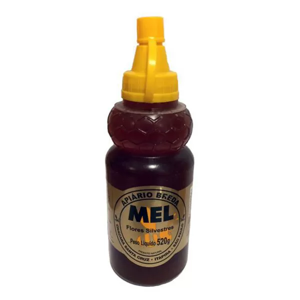 MEL FLORES SILVESTRES BISNAGA 520G – APIARIO BREDA