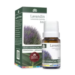 Óleo essencial Lavandin - Lavandula hybrida 5ml – WNF